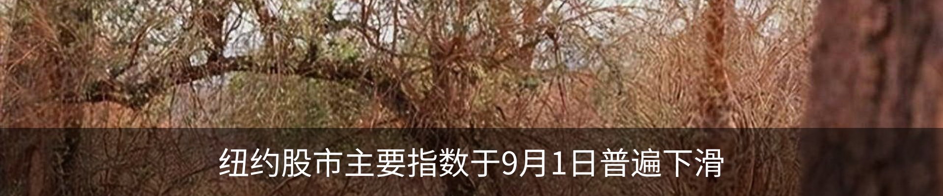 资讯中心